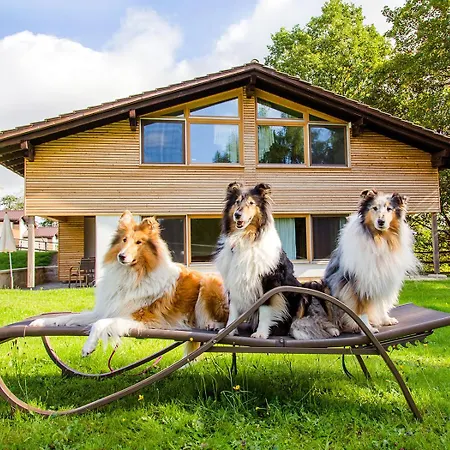 Gutshotel Feuerschwendt - Urlaub Mit Hund 4*